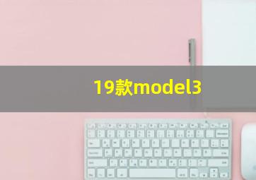 19款model3