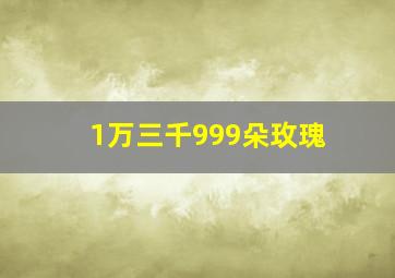 1万三千999朵玫瑰