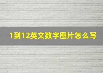 1到12英文数字图片怎么写