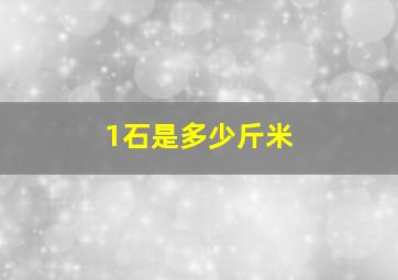 1石是多少斤米