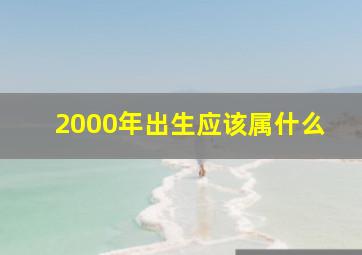 2000年出生应该属什么