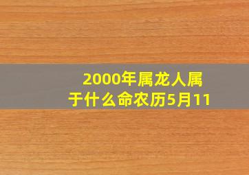 2000年属龙人属于什么命农历5月11