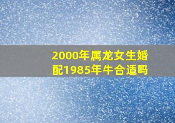 2000年属龙女生婚配1985年牛合适吗