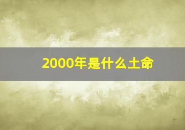 2000年是什么土命