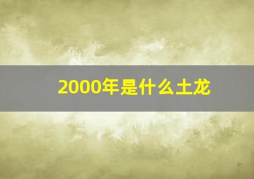 2000年是什么土龙