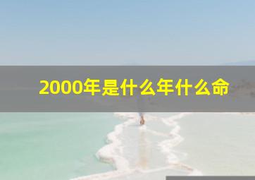 2000年是什么年什么命