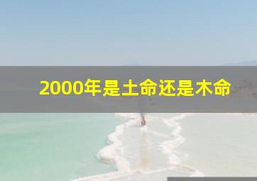 2000年是土命还是木命