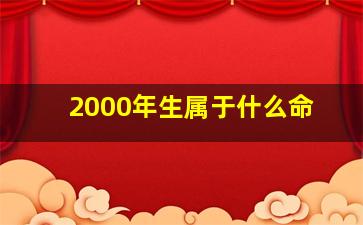 2000年生属于什么命