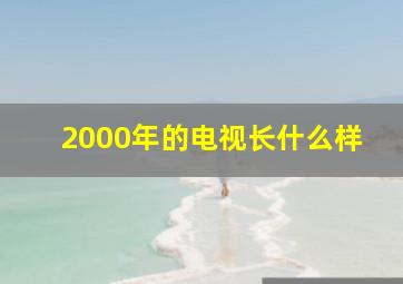 2000年的电视长什么样