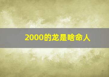 2000的龙是啥命人