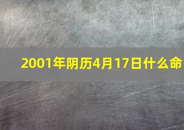 2001年阴历4月17日什么命