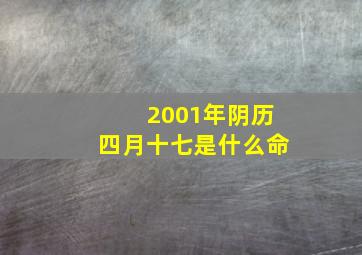 2001年阴历四月十七是什么命