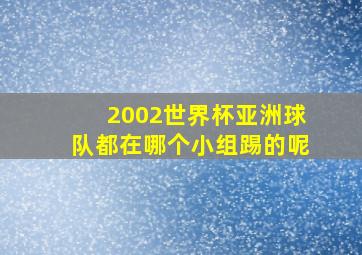 2002世界杯亚洲球队都在哪个小组踢的呢