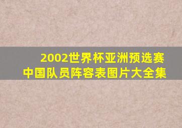 2002世界杯亚洲预选赛中国队员阵容表图片大全集