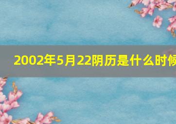 2002年5月22阴历是什么时候