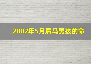 2002年5月属马男孩的命