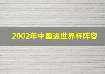 2002年中国进世界杯阵容