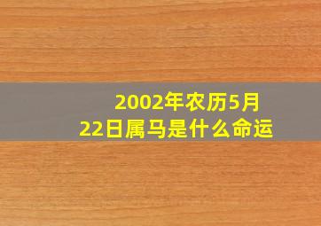 2002年农历5月22日属马是什么命运