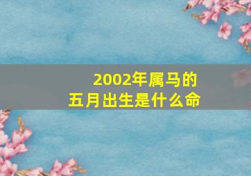 2002年属马的五月出生是什么命