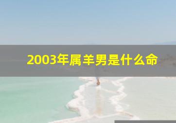 2003年属羊男是什么命