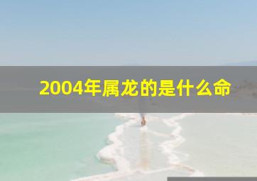 2004年属龙的是什么命