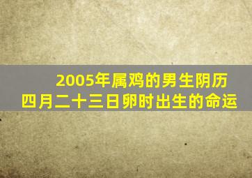 2005年属鸡的男生阴历四月二十三日卵时出生的命运