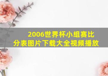 2006世界杯小组赛比分表图片下载大全视频播放