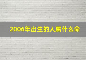 2006年出生的人属什么命