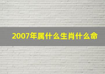 2007年属什么生肖什么命