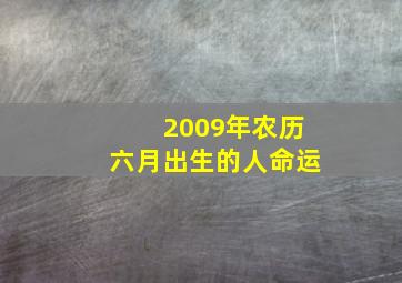 2009年农历六月出生的人命运