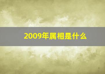 2009年属相是什么