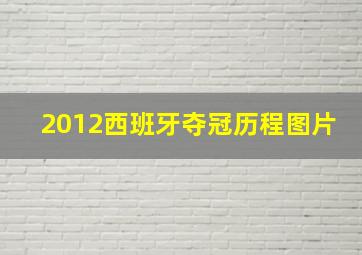 2012西班牙夺冠历程图片