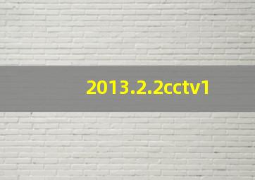 2013.2.2cctv1