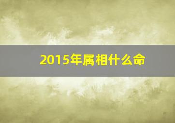 2015年属相什么命