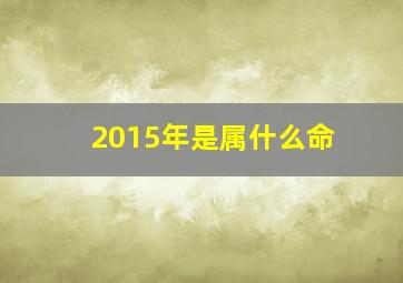 2015年是属什么命