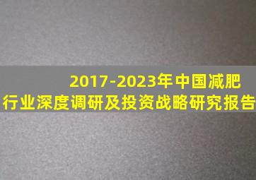 2017-2023年中国减肥行业深度调研及投资战略研究报告