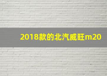 2018款的北汽威旺m20