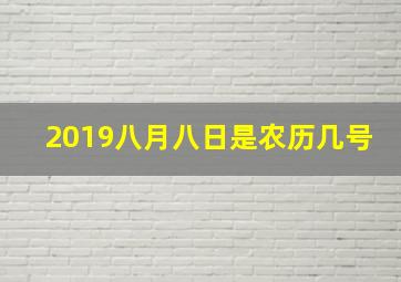 2019八月八日是农历几号