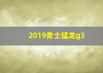 2019勇士猛龙g3