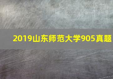 2019山东师范大学905真题