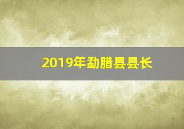 2019年勐腊县县长