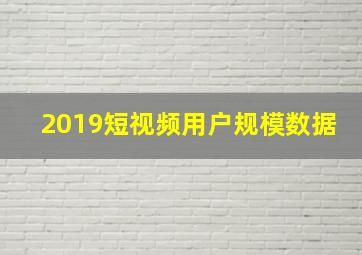 2019短视频用户规模数据