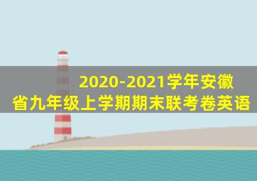 2020-2021学年安徽省九年级上学期期末联考卷英语