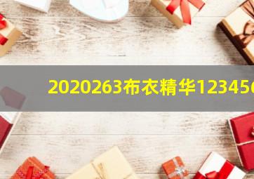 2020263布衣精华123456