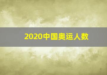 2020中国奥运人数