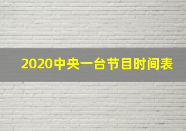 2020中央一台节目时间表