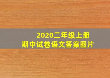 2020二年级上册期中试卷语文答案图片