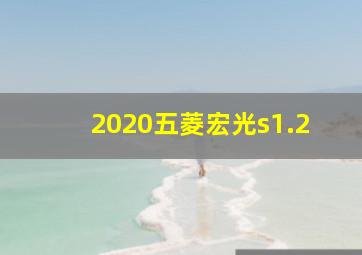 2020五菱宏光s1.2