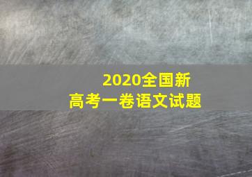 2020全国新高考一卷语文试题