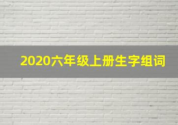 2020六年级上册生字组词